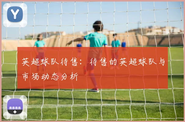 英超球队待售：待售的英超球队与市场动态分析