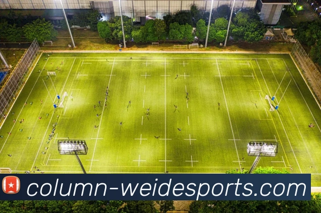 伟德体育APP 高清赛事图